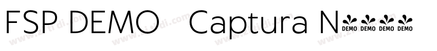 FSP DEMO   Captura N字体转换